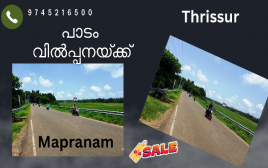 2 Acre Paddy Land facing Bus Route For Sale at Mapranam,Thrissur 